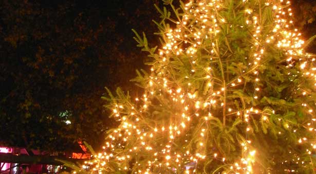 Η Εύξεινος Λέσχη Θήβας άναψε το Χριστουγεννιάτικο δέντρο