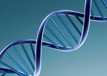 Ανάλυση DNA μέσα σε 50 ώρες