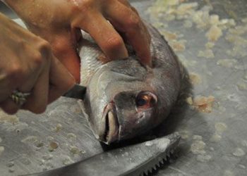 Καθαρίστε εύκολα τα ψάρια