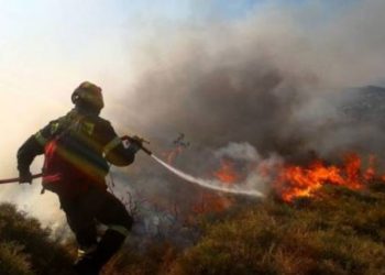 Υπό μερικό έλεγχο η πυρκαγιά στη Μικροκώμη του Δήμου Βόλβης 2