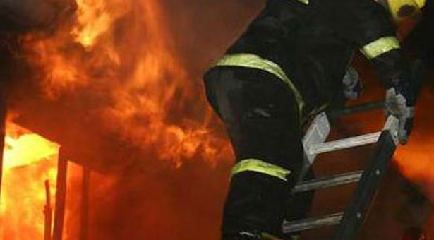 Υπό μερικό έλεγχο η πυρκαγιά στη Μικροκώμη του Δήμου Βόλβης 5