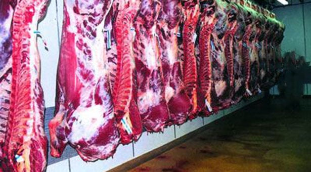 Κατασχέθηκαν 13 τόνοι ύποπτου κρέατος
