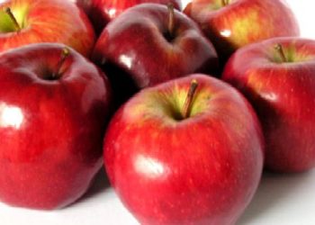 Άνοιξε επίσημα η αγορά της Ινδίας για τα ελληνικά μήλα 3