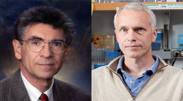 Νόμπελ Χημείας 2012: Στους Αμερικανούς Λέφκοβιτς και Κομπίλκα
