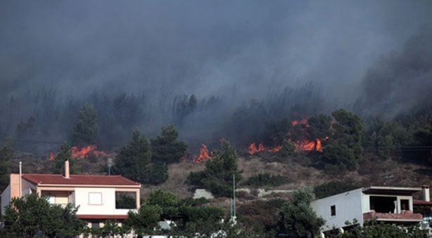ΕΚΤΑΚΤΟ: Πυρκαγιά στη Φυλή Αττικής