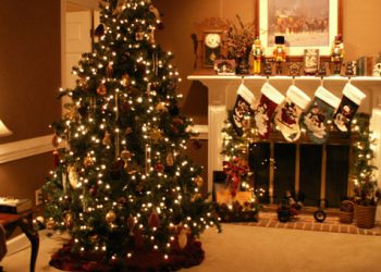 Χριστουγεννιάτικο δέντρο: H ιστορία του