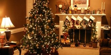 Χριστουγεννιάτικο δέντρο: H ιστορία του