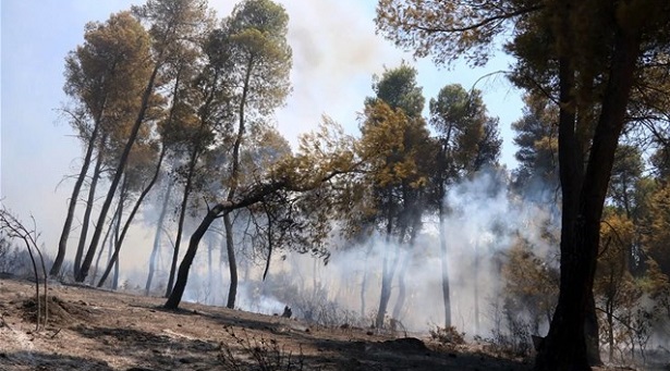 Σε εξέλιξη πυρκαγιά στη Φθιώτιδα στην περιοχή Πελασγία Στυλίδας