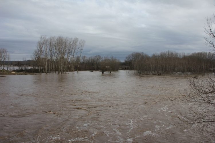 Πάνω από 12.000 στρέμματα πλημμύρησαν στον Έβρο (βίντεο)