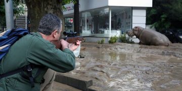 Φονικές πλημμύρες στην Τιφλίδα και απόδραση άγριων ζώων