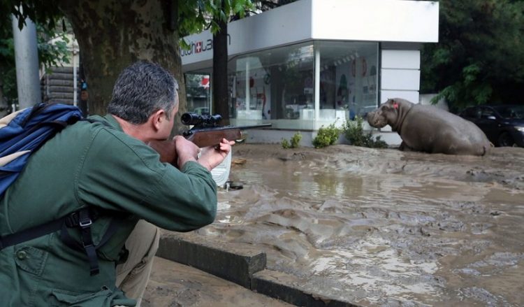 Φονικές πλημμύρες στην Τιφλίδα και απόδραση άγριων ζώων