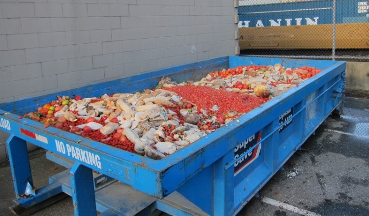 Στα σκουπίδια πετούν οι Ευρωπαίοι 47 εκατ. τόνους τροφίμων το χρόνο