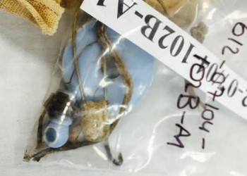 Βρέθηκαν τα οστά του μικρότερου αγνοούμενου στην κατεχόμενη Κύπρο