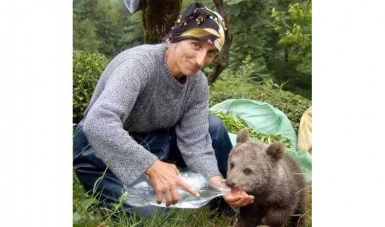 Αρκουδάκι πίνει νερό από τη χούφτα γυναίκας στο Ρίζαιο
