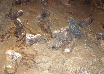 Εντοπίστηκαν ομαδικοί τάφοι με λείψανα 36 ανθρώπων στα Κατεχόμενα