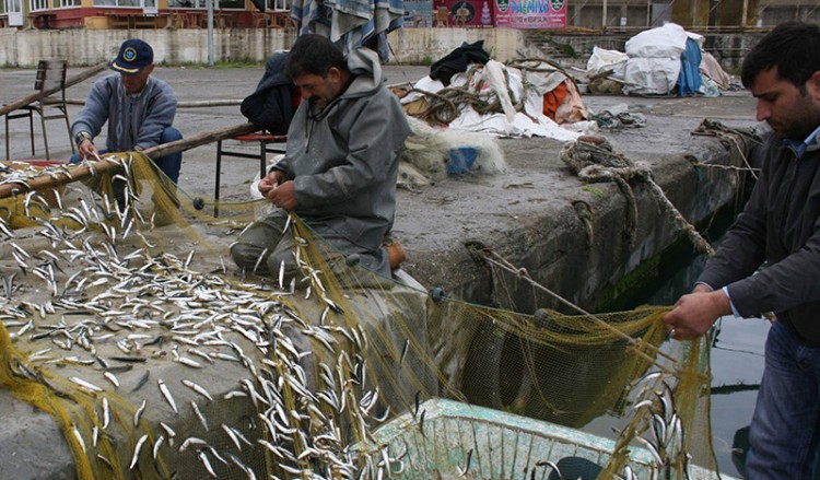 Τουρκία: Υπουργική οδηγία στους αλιείς να μην ψαρεύουν στα ελληνικά χωρικά ύδατα