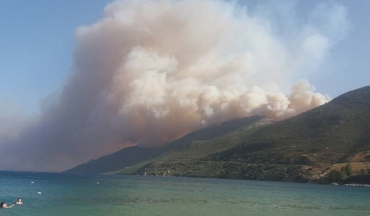 Αναζωπύρωση της φωτιάς στη Λακωνία – Κάηκαν σπίτια στον Κότρωνα