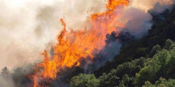 Μεγάλη φωτιά κοντά στον οικισμό Ασβεστοχωρίου στα Ιωάννινα