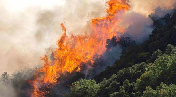 Μεγάλη φωτιά κοντά στον οικισμό Ασβεστοχωρίου στα Ιωάννινα