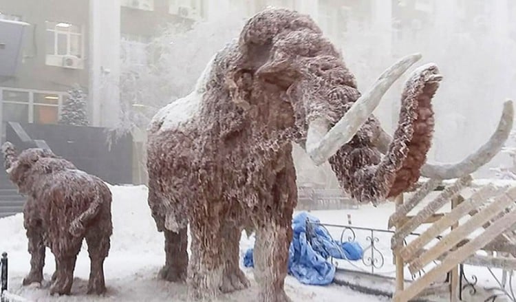 Εμφανίστηκαν… μαμούθ στην πιο παγωμένη πόλη του κόσμου