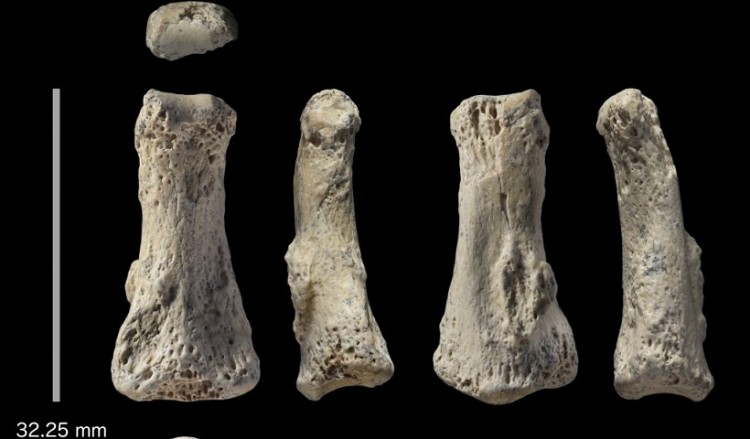 Αποκαλύφθηκε το αρχαιότερο απολίθωμα Homo sapiens