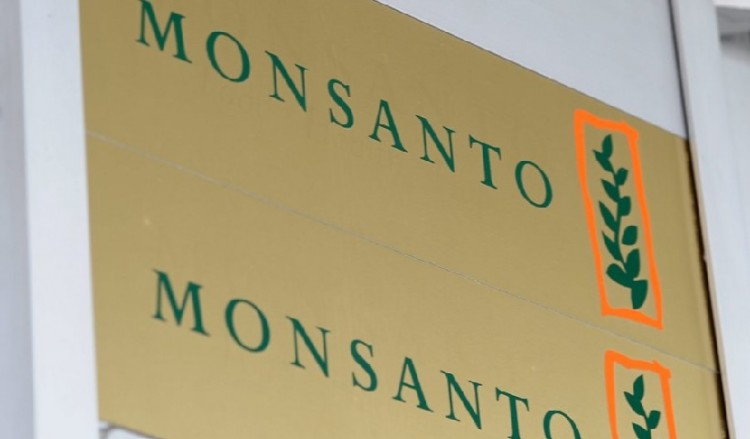 Γαλλία: Δικαστήριο δικαιώνει για τρίτη φορά αγρότη που προσέφυγε κατά της Monsanto