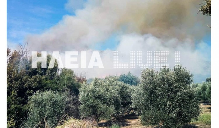 Ζαχάρω: Φωτιά σε αγροτοδασική έκταση κοντά το Ξηροχώρι
