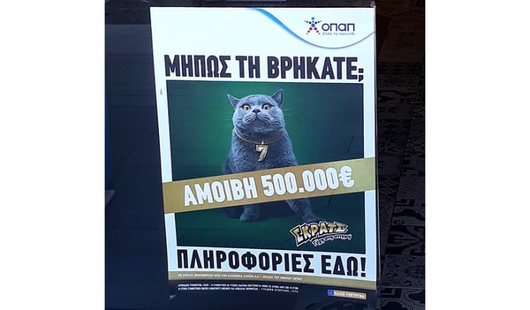 Κυνήγι σε όλη την Ελλάδα για μια γάτα, με αμοιβή 500.000 ευρώ