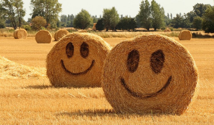 Υπάρχουν «μυστικές συνταγές» στην ευτυχία; − Απαντά πρόεδρος του Happiness Research Institute