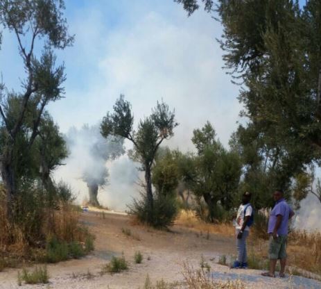 Νέα εξέγερση μεταναστών στη Μόρια – Φωτιές μέσα και έξω από το hotspot (βίντεο) - Media Gallery