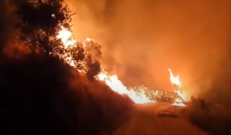 Μεγάλη φωτιά στην Πάτρα (βίντεο)