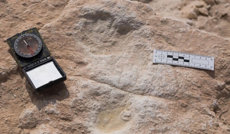 Αρχαιολογική ανακάλυψη: Στη Σαουδική Αραβία οι αρχαιότερες πατημασιές Homo sapiens στην Αραβική Χερσόνησο
