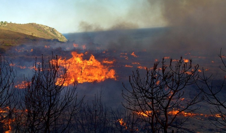 Υπό μερικό έλεγχο η πυρκαγιά στη Μικροκώμη του Δήμου Βόλβης