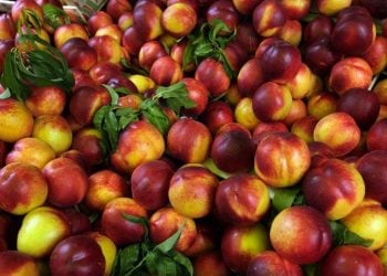Τα ελληνικά φρούτα κατέχουν σημαντική θέση στις εξαγωγές στην Αλβανία (φωτ.: ΑΠΕ-ΜΠΕ / Αλέξανδρος Μπελτές)