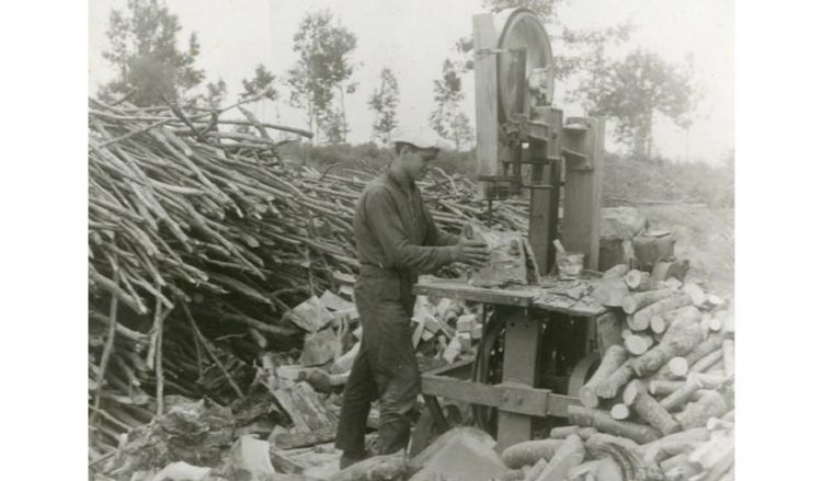 Κοπή ξύλων στη Φυτειά Ημαθίας. Απεικονίζεται ο ξυλέμπορος Γιώργος Μπεσίνας, το 1960 (πηγή: Δημόσια Κεντρική Βιβλιοθήκη της Βέροιας)