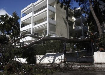 Ένας άνδρας στέκεται στο μπαλκόνι του κοιτάζοντας το πεσμένο δέντρο που άφησε πίσω της η «Μήδεια» στην Κηφισιά (φωτ.: ΑΠΕ-ΜΠΕ / Γιάννης Κολεσίδης)