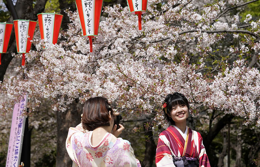 Ιαπωνία: Οι κερασιές άνθισαν νωρίτερα λόγω της κλιματικής αλλαγής (video)