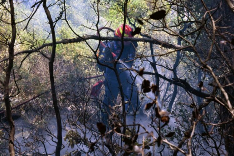 Πυροσβέστης επιχειρεί στην κατάσβεση της πυρκαγιάς στην περιοχή των Γερανείων, κοντά στον Σχίνο Λουτρακίου (φωτ.: ΑΠΕ-ΜΠΕ /Βασίλης Ψωμάς)