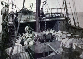 Η μοναδική φωτογραφία από το κατάστρωμα του «Bandirma», του πλοίου που μετέφερε τον Μουσταφά Κεμάλ από την Κωνσταντινούπολη στη Σαμψούντα τον Μάιο του 1919