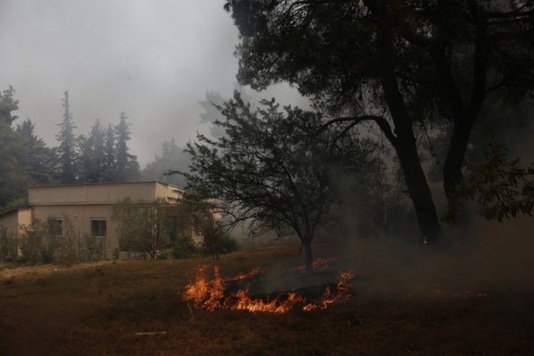 Φωτιά καίει δίπλα από την αυλή κατοικίας στη Σταμάτα, Αττικής (φωτ.: ΑΠΕ-ΜΠΕ/Γιάννης Κολεσίδης)