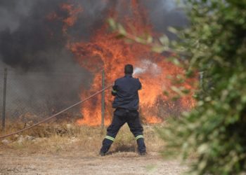Πυροσβέστες επιχειρούν για την κατάσβεση της πυρκαγιάς σε αγροτοδασική έκταση σε περιοχή του νομού Αχαΐας (φωτ.: ΑΠΕ-ΜΠΕ / Γιώτα Λοτσάρη)