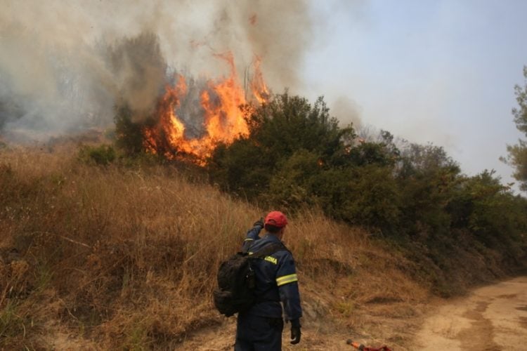 Πυροσβέστης επιχειρεί στην κατάσβεση της πυρκαγιάς στο χωριό Κοσκινάς, στην Αρχαία Ολυμπία (φωτ.: ΑΠΕ-ΜΠΕ/Ορέστης Παναγιώτου)