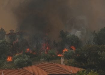 Φλόγες από την πυρκαγιά που καίει μέσα στην κατοικημένη περιοχή στις Αφίδνες (φωτ.: ΑΠΕ-ΜΠΕ/ Αλέξανδρος Μπελτές)