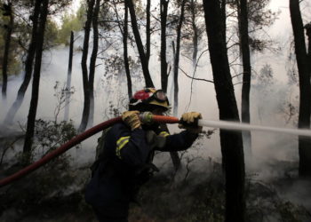 Πυροσβέστης παλεύει με τις φλόγες στη Βαρυμπόμπη, 5/8/2021, (φωτ.: EPA/ Kostas Tsironis)