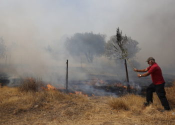 Εθελοντής επιχειρεί στην κατάσβεση της πυρκαγιάς στην Κερατέα, τη Δευτέρα 16 Αυγούστου 2021 (φωτ.: ΑΠΕ-ΜΠΕ/ Αλέξανδρος Βλάχος)