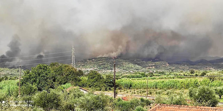 Η φωτιά που καίει στη Νεμούτα Ηλείας (πηγή: Facebook / Meteology)