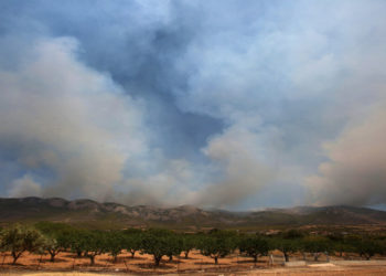 Πυκνοί καπνοί ανεβαίνουν από το όρος Πατέρας, έτσι όπως φαίνεται από την περιοχή Λιακωτό Μάνδρας, καθώς η φωτιά καίει σε δυσπρόσιτα σημεία, Τρίτη 17 Αυγούστου 2021 (φωτ.: ΑΠΕ-ΜΠΕ/ Αλέξανδρος Μπελτές)