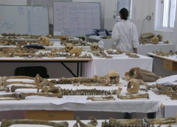 Λείψανα αγνοουμένων στο ανθρωπολογικό εργαστήριο, στην Κύπρο (φωτ. αρχείου: ΑΠΕ-ΜΠΕ/STR)