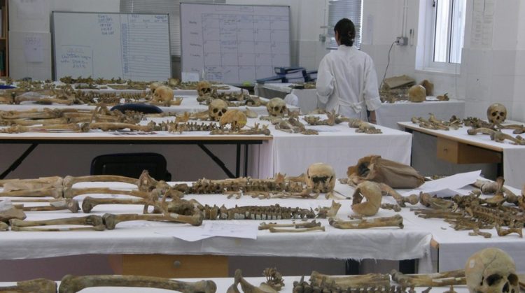 Λείψανα αγνοουμένων στο ανθρωπολογικό εργαστήριο, στην Κύπρο (φωτ. αρχείου: ΑΠΕ-ΜΠΕ/STR)