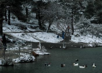 Χιόνια στη λίμνη Μπελέτσι στην Πάρνηθα (φωτ.: EUROKINISSI/Αντώνης Νικολόπουλος)
